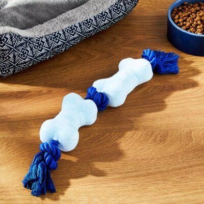 Chomp and Tug Buddy Squeaky Bones Dog Chew Toy